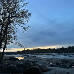 Trade for masquerademagic